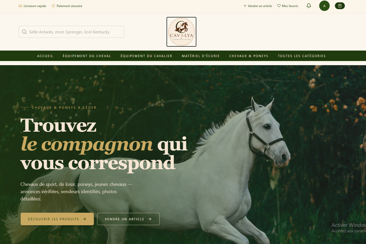 Aperçu du site Cavalya